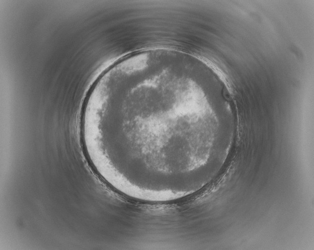 X0000115660949200912101049