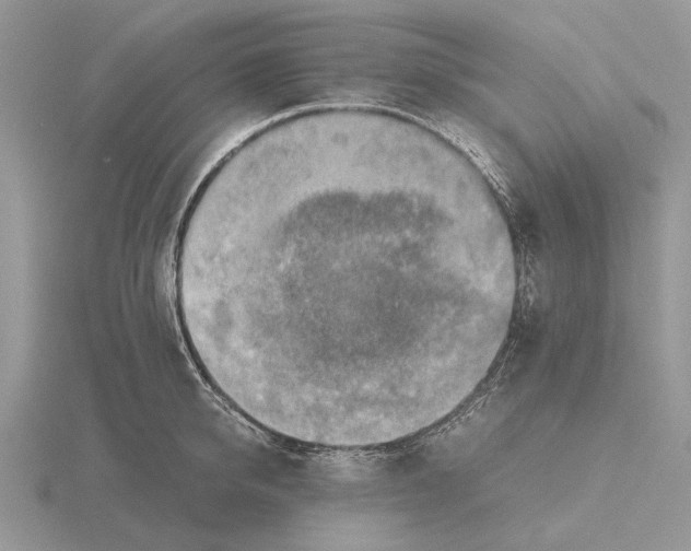 X0000115660950200912101049