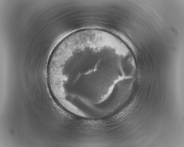 X0000115660951200912101049