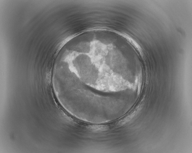 X0000115660953200912101049