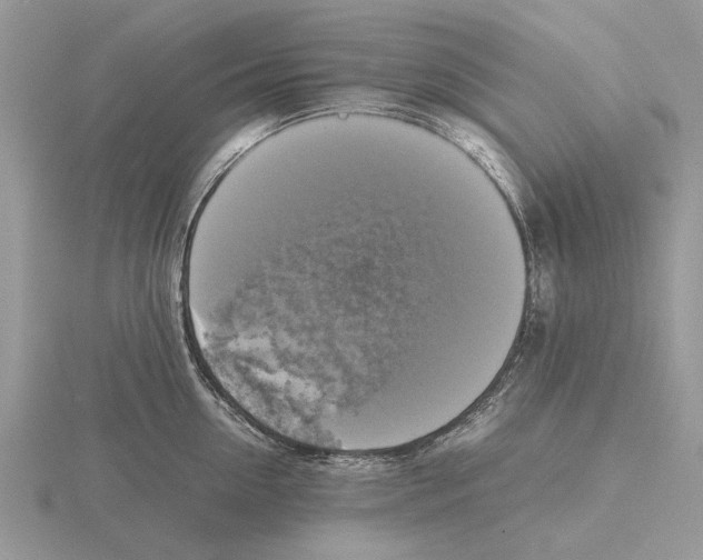 X0000115660954200912101049