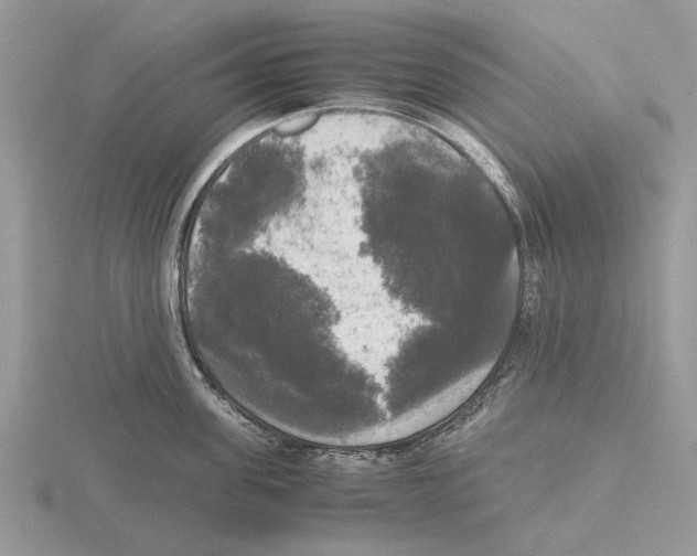 X0000115660955200912101049