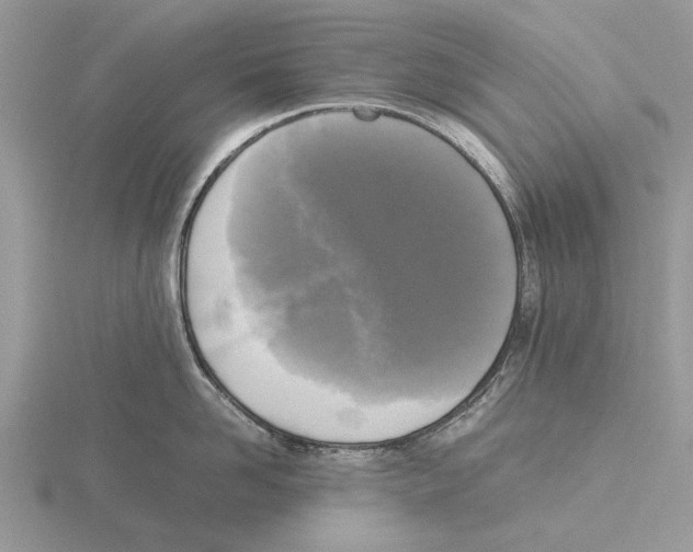 X0000115660958200912101049