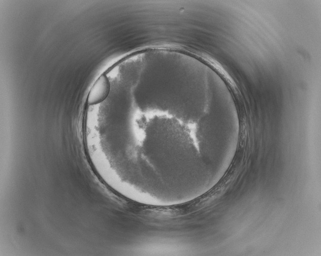 X0000115660959200912101049