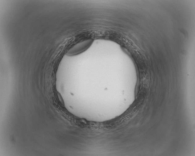 X0000115660961200912101048