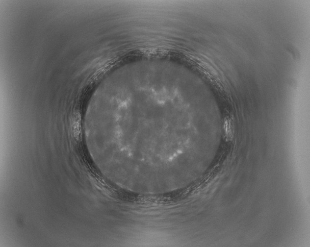 X0000115660963200912101048