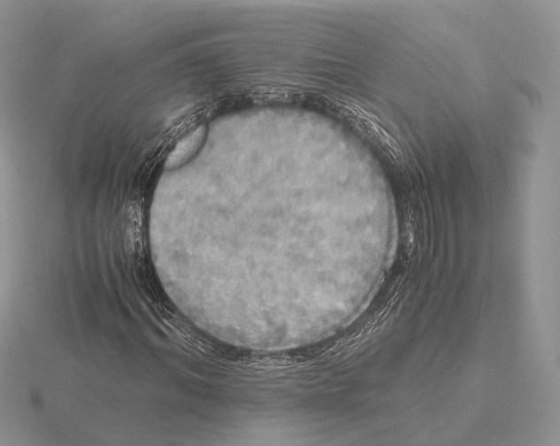 X0000115660964200912101048