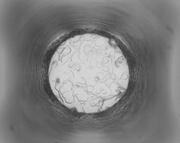 X0000115660967200912101048