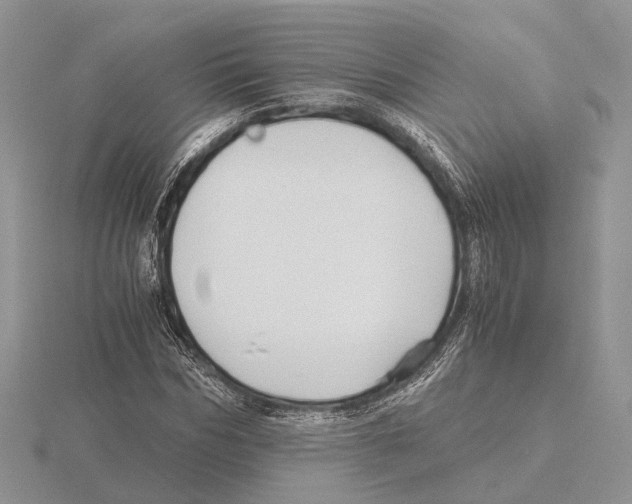 X0000115660970200912101048