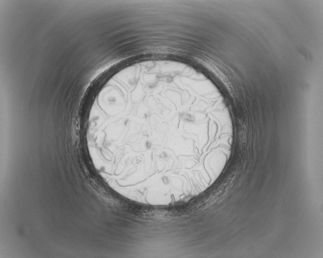 X0000115660971200912101048