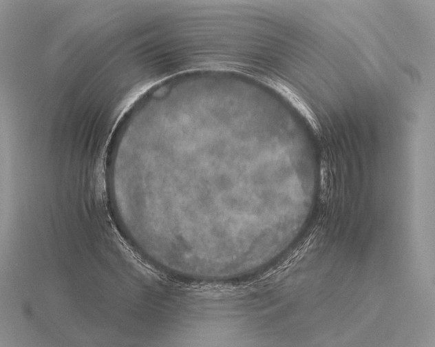 X0000115660972200912101048