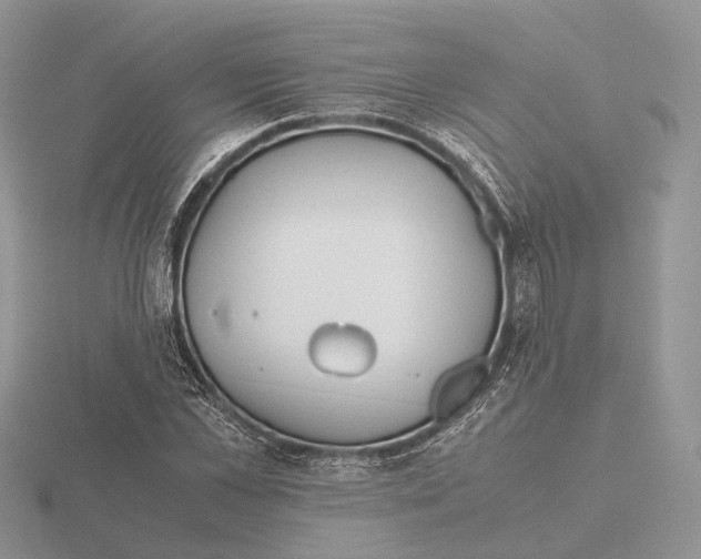 X0000115660973200912101048