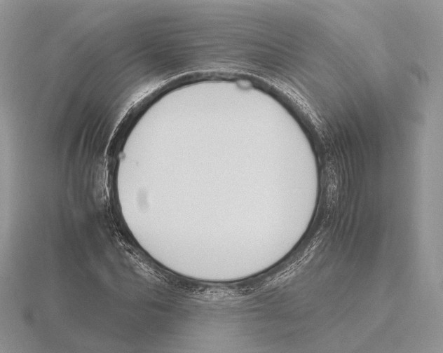 X0000115660974200912101048