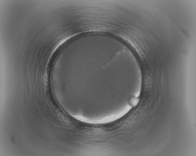 X0000115660975200912101048