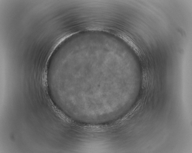 X0000115660976200912101048