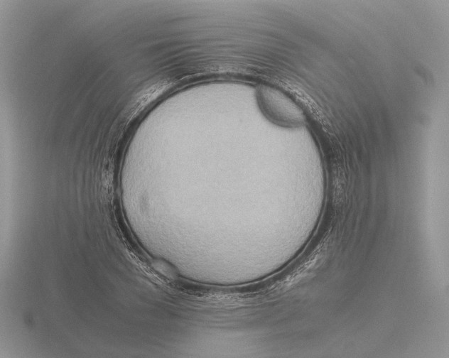 X0000115660977200912101048