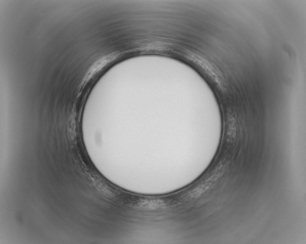 X0000115660978200912101048