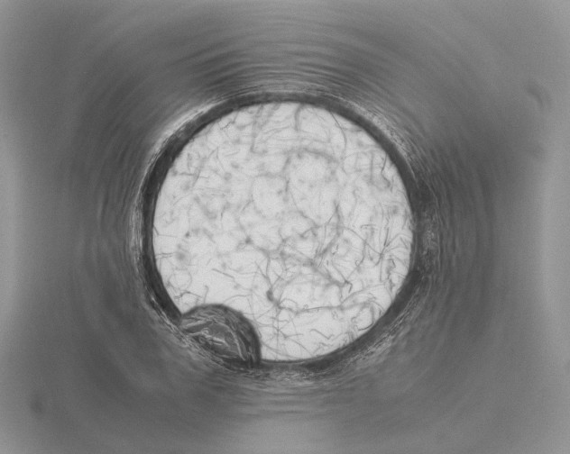 X0000115660979200912101048