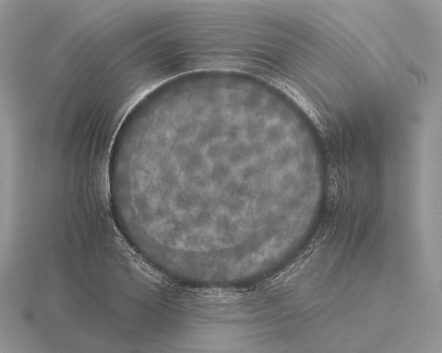 X0000115660980200912101048