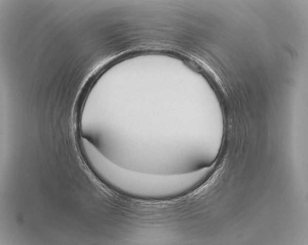 X0000115660981200912101048