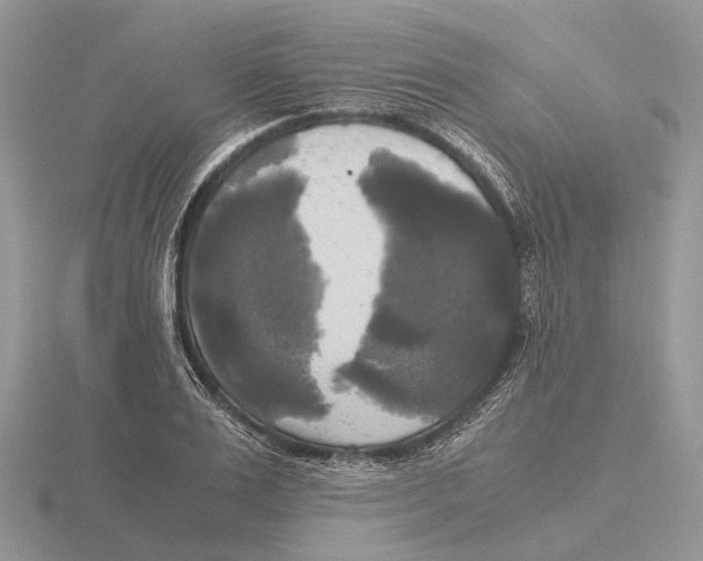 X0000115660983200912101048