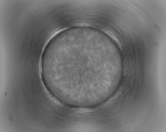 X0000115660984200912101048