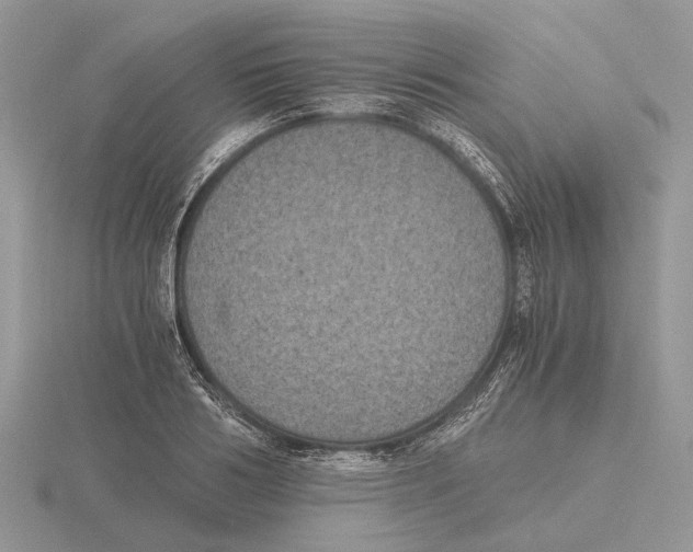 X0000115660986200912101048