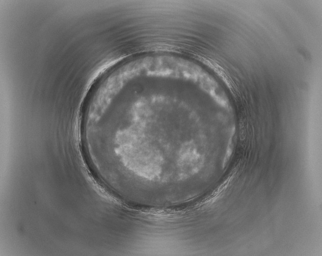 X0000115660987200912101048