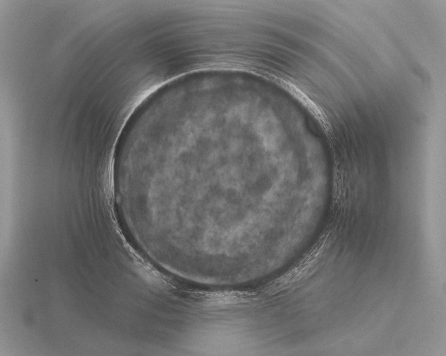 X0000115660988200912101048