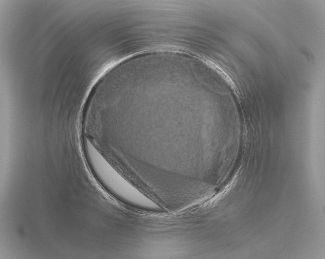 X0000115660989200912101048