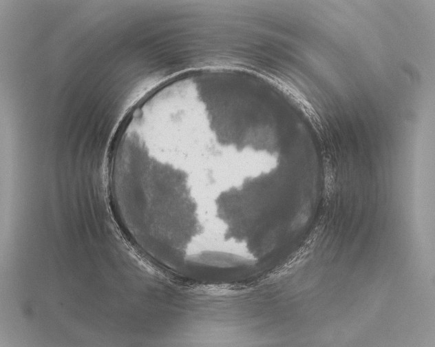 X0000115660990200912101048