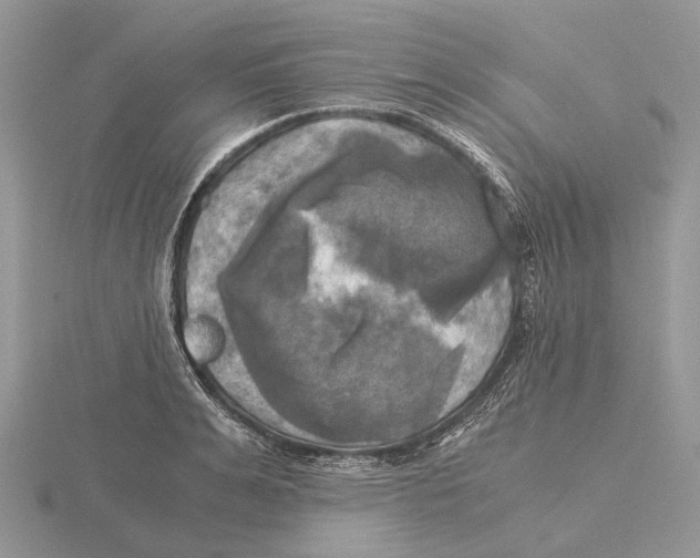 X0000115660991200912101048