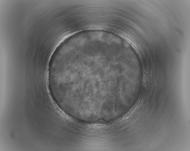 X0000115660992200912101048