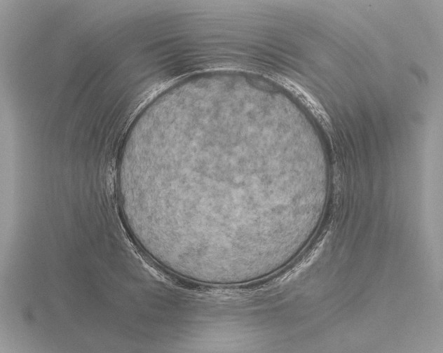 X0000115660993200912101048