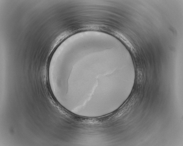 X0000115660994200912101048