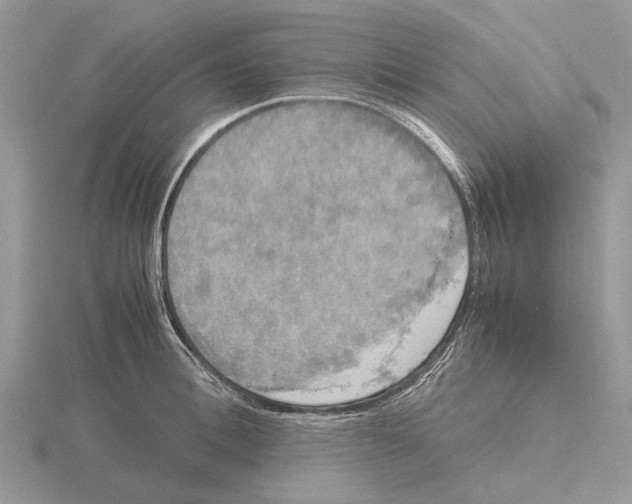 X0000115660996200912101048