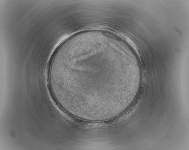 X0000115660997200912101048