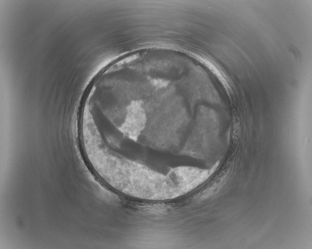 X0000115660999200912101048