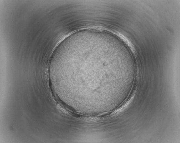 X0000115661001200912101048