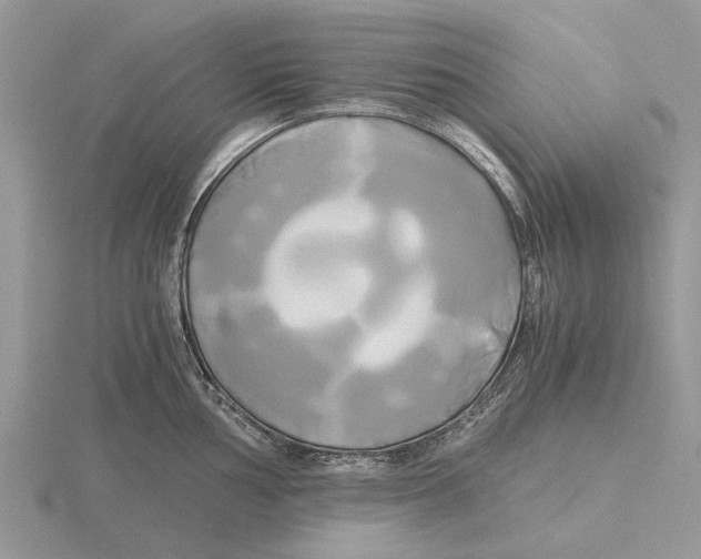 X0000115661002200912101048