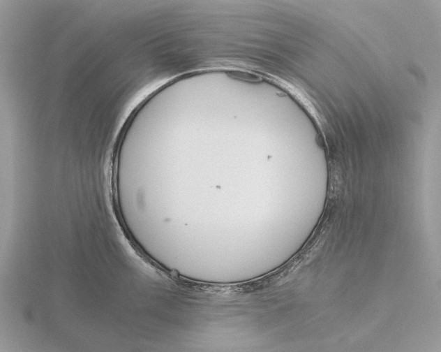 X0000115661003200912101048