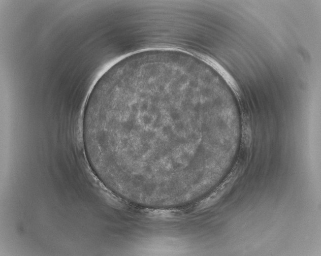 X0000115661004200912101048