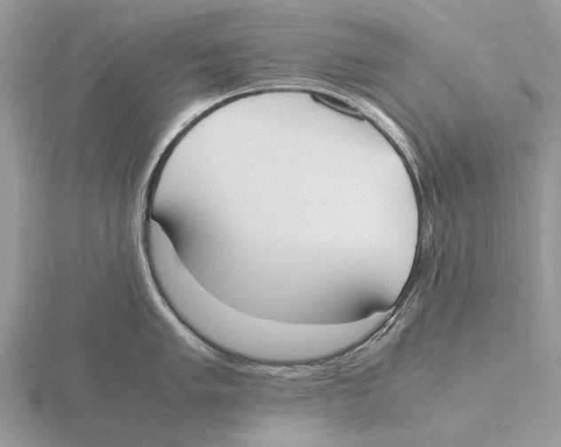 X0000115661005200912101048