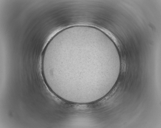 X0000115661006200912101047