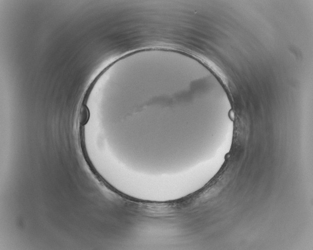 X0000115661007200912101047