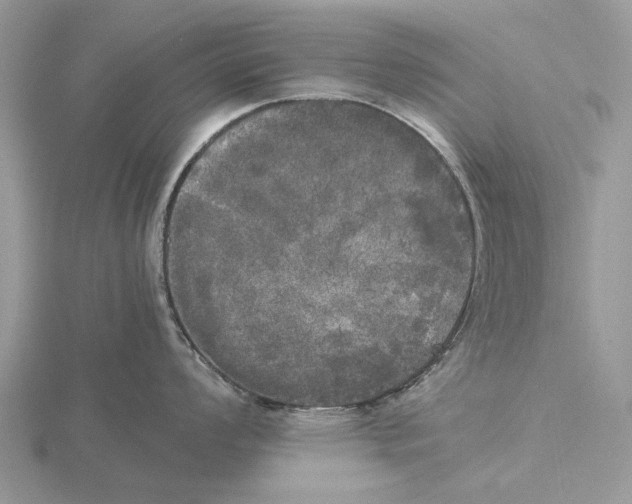 X0000115661008200912101047