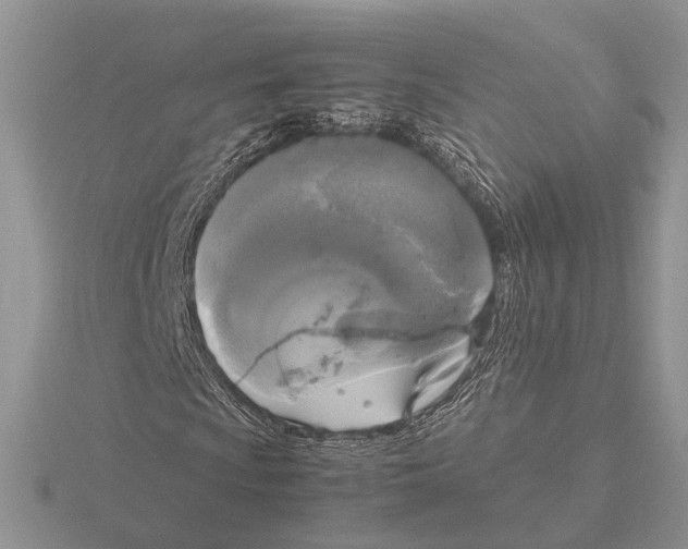 X0000115661009200912101047