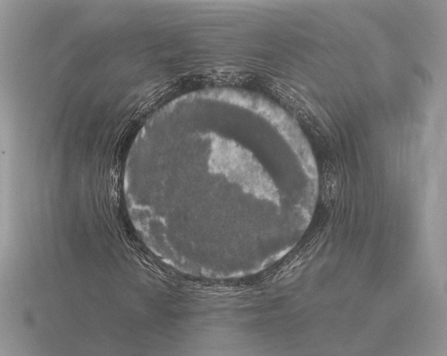 X0000115661010200912101047