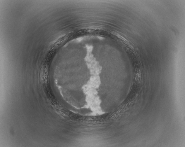 X0000115661014200912101047