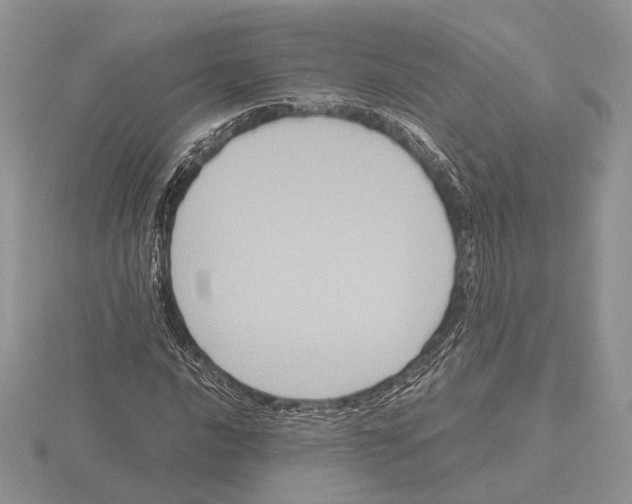 X0000115661016200912101047